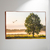 Amanhecer no Campo - O2 Arts Quadros Personalizados