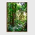 Floresta Tropical II - loja online
