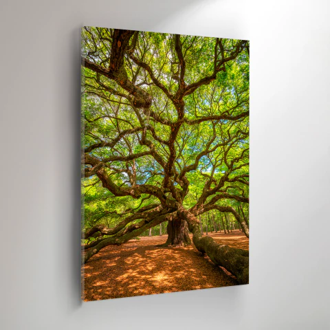 Árvore da Vida Vertical - comprar online