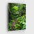 Floresta Tropical I na internet