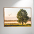 Amanhecer no Campo - comprar online