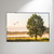 Amanhecer no Campo - O2 Arts Quadros Personalizados