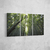 Bamboo Tríptico I