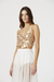Top AMY V24310