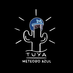 Camisa METEORO (azul) - Tienda de Camisas