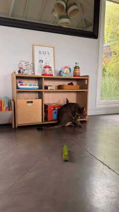 0RGANIZADOR PRIMERA INFANCIA *RAFA* - Vive Libre: venta de muebles Montessori y juguetes