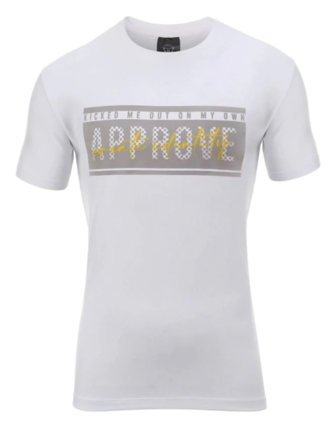 Remera Approve - comprar online