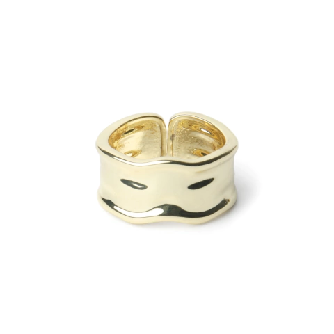 ANILLO RIPPLE