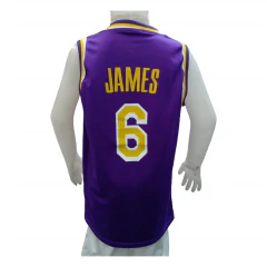 Camiseta Basquet Lakers Niño Violeta