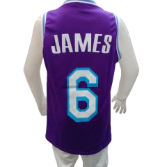 Conjunto Camiseta y Short de Basquet LAKERS VIOLETA talle Nio!! - MESNBNON - tienda online
