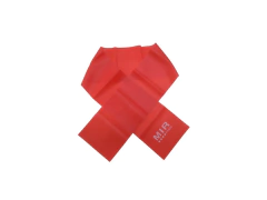 Combo gym!! rueda abdominal + 2 tiraband (abierta y circular - PASION AL DEPORTE