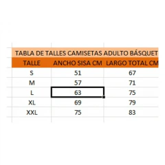 Imagen de Camiseta Básquet Miami Adulto
