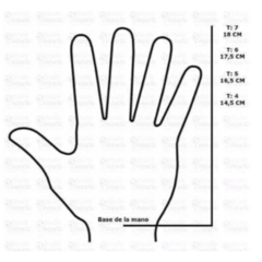 Imagen de Guantes de Arquero Eneve Niños - A28
