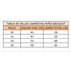 Camiseta Deportiva de Basquet PSG talle Niño!! - MESN en internet