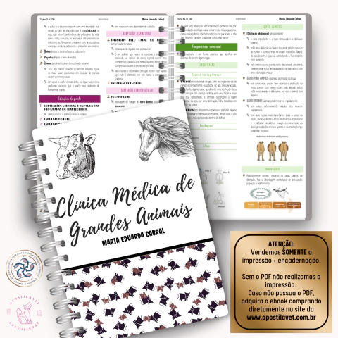 CMGA (Clínica Médica de Grandes Animais)