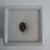 Meteorito NWA 6815