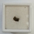 Meteorito NWA 11201