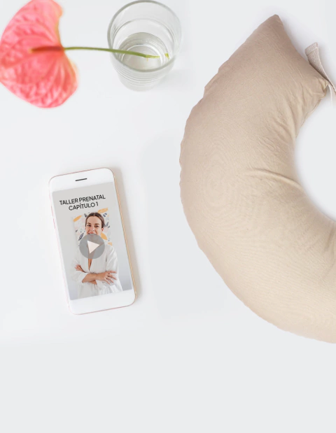 KIT ESPECIAL - Almohadón & Taller Prenatal - comprar online