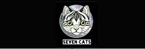 Seven Cats