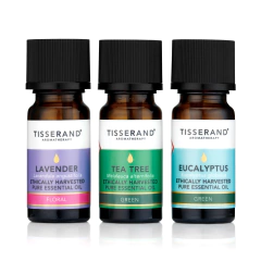 Kit Your Daily Essentials 3x9ml ( Óleos Essenciais Lavanda + Tea Tree + Eucalipto) na internet