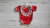 Body Broderi Lycra - comprar online
