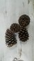 Pañas de Pino