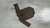 Body Basic Chocolate en internet