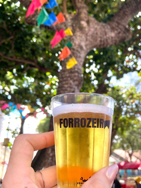 Copo Forrozeiro(a) - 190ml