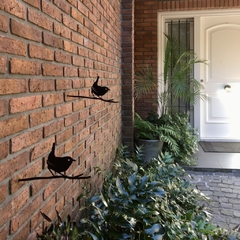 Pájaros Argentinos - Chucao - comprar online