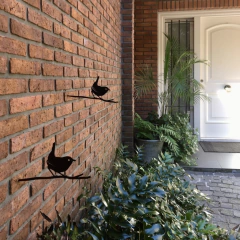 Pájaros Argentinos - Chucao - comprar online