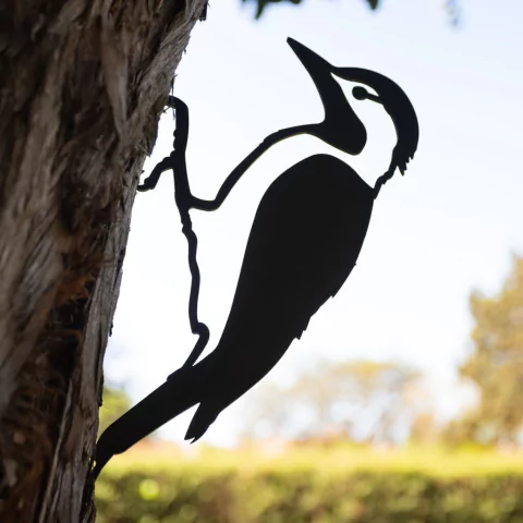 Pájaros Argentinos - Carpintero