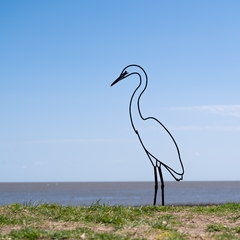 Pájaros Argentinos - Garza
