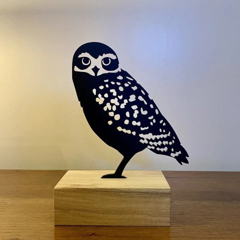 Pájaros Argentinos - Lechucita mini - comprar online