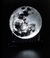 MOON GRANDE en internet