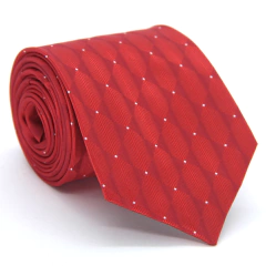 Gravata Tradicional TR-05781