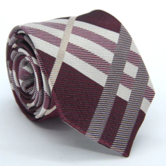 Gravata Tradicional TR-05869