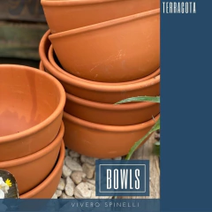 BOWL TERRACOTA en internet