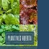 PLANTINES HUERTA