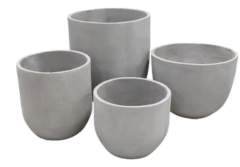 SALTEÑA PINTADA en internet