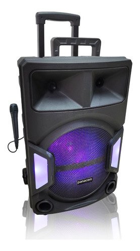 Parlante Panacom 3116 12"