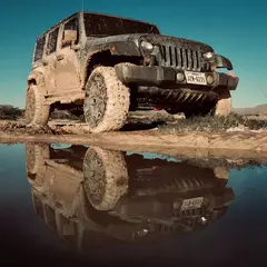 VONIXX V-MOL 1,5LT. SHAMPOO DESENGRAXANTE LAVAGEM AUTOMOTIVA na internet