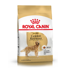 Banner de la categoría Golden Retriever