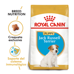 JACK RUSSEL PUPPY | ROYAL CANIN