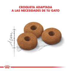 APPETTITE CONTROL CARE | ROYAL CANIN FELINE en internet
