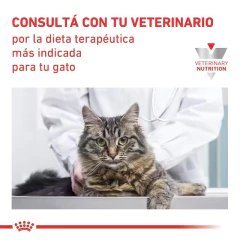 Imagen de ROYAL CANIN | CALM FELINE