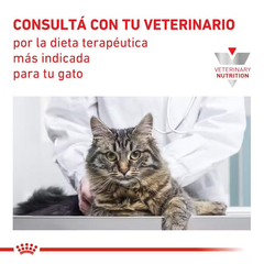Imagen de ROYAL CANIN | DIABETIC FELINE