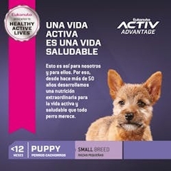 EUKANUBA | PUPPY SMALL - tienda online