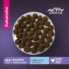 EUKANUBA | PUPPY LARGE en internet