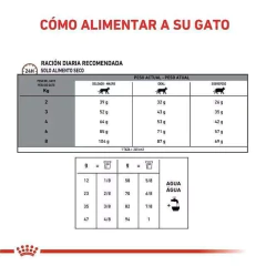 ROYAL CANIN | GASTROINTESTINAL FIBRE RESPONSE FELINE en internet