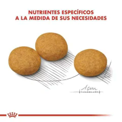 ROYAL CANIN | MEDIUM DERMACOMFORT - Oh! Can Pet Shop y Veterinaria